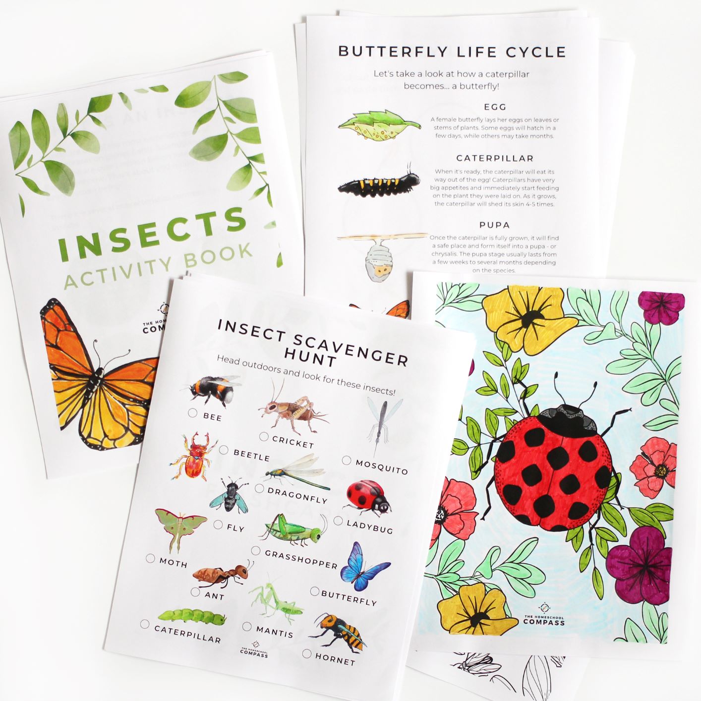 Free printable insect activity book