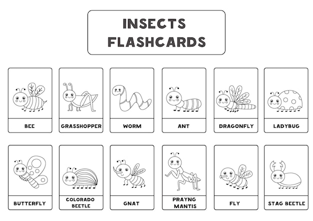 Premium vector black and white insect flashcards for kids