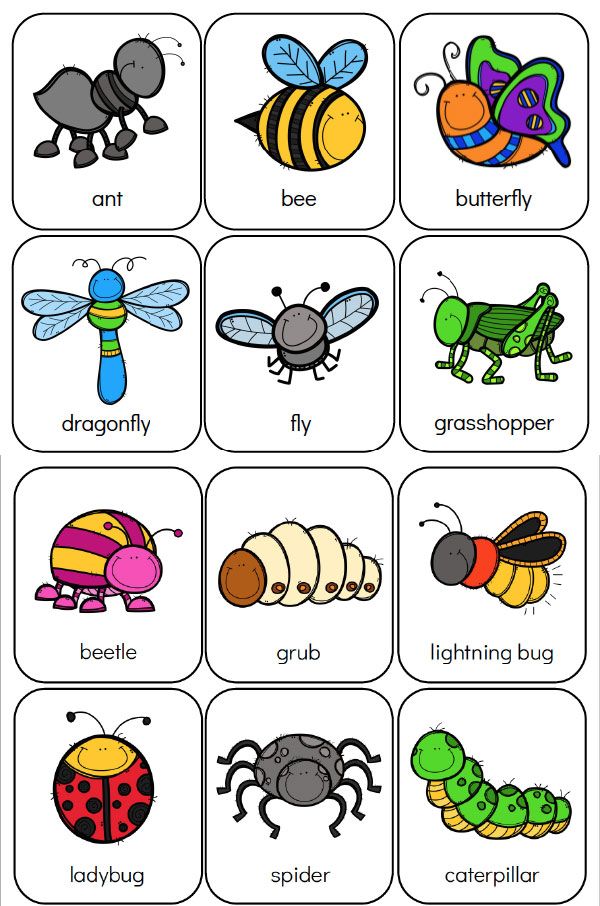 Printable preschool bug activities for kids bugs preschool insects preschool bug activities