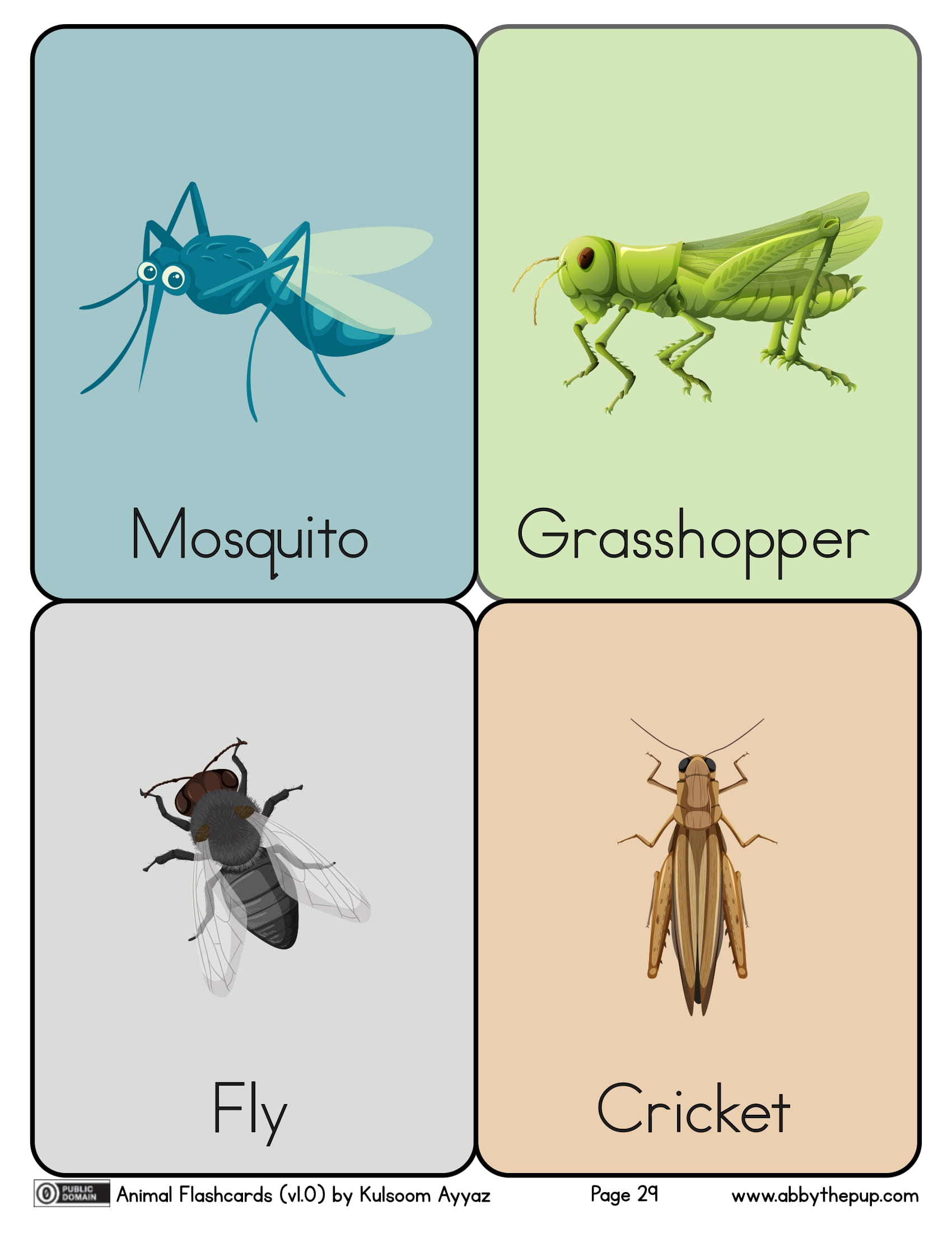 Insects flashcards free printable papercraft templates