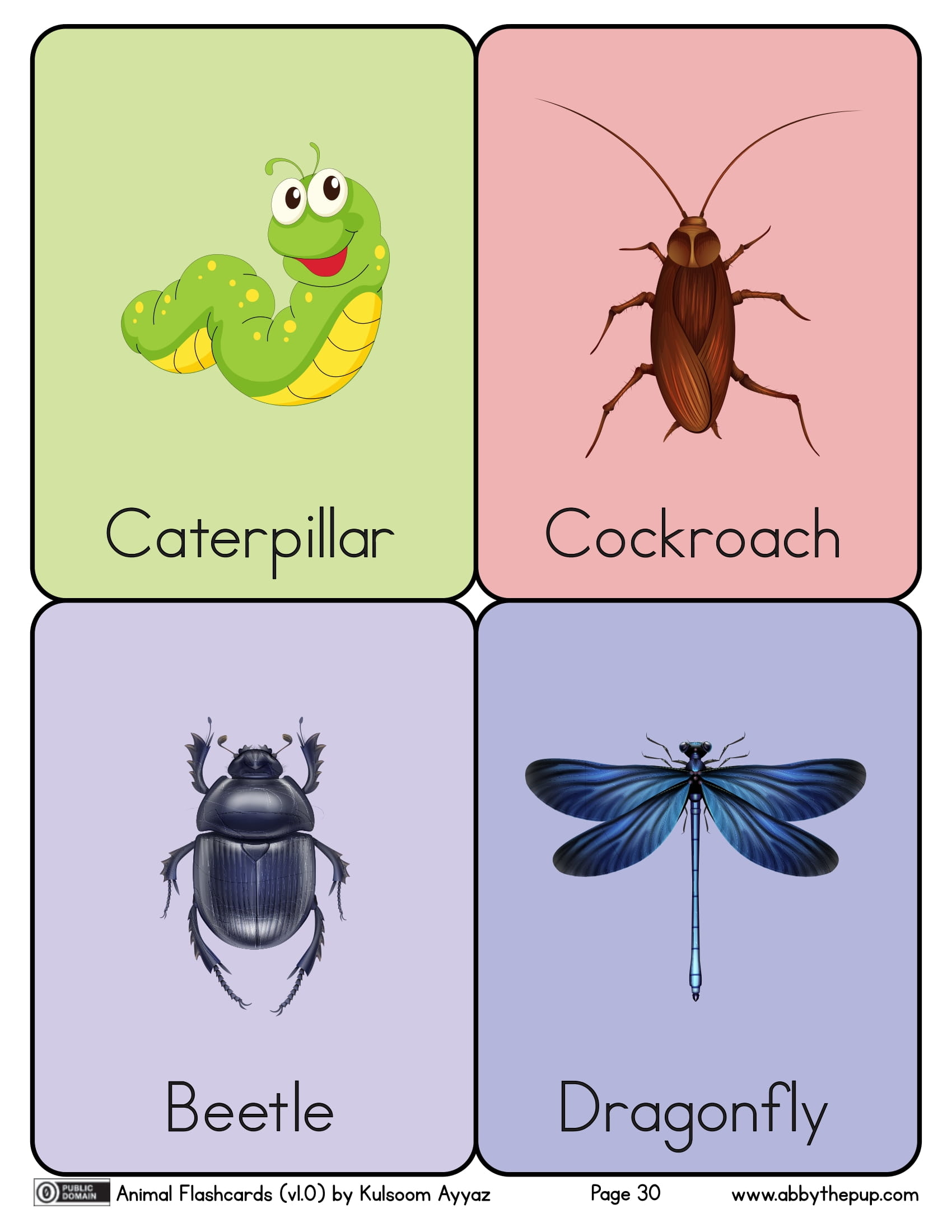 Insects flashcards free printable papercraft templates