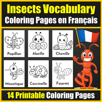 French insects bugs vocabulary flash cards coloring pages bundle en franãais