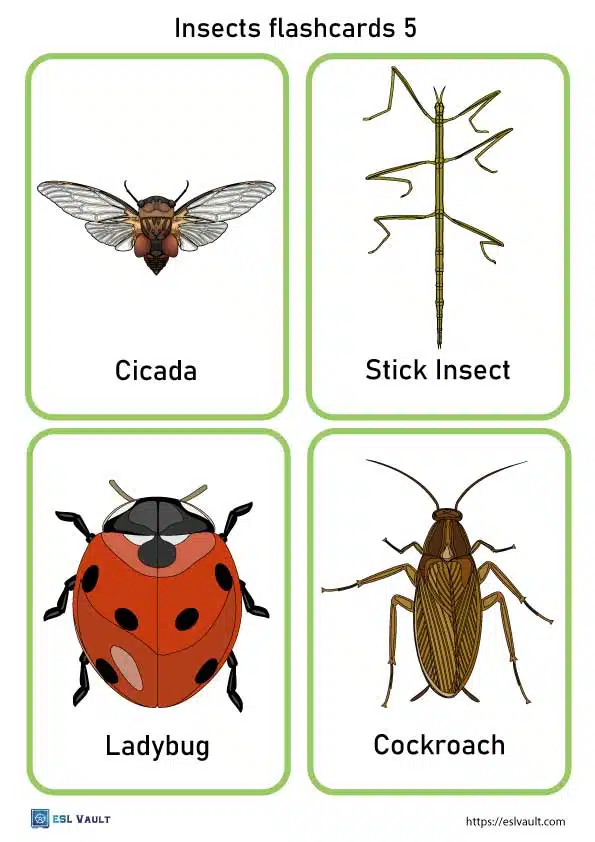 Free printable pdf insects flashcards