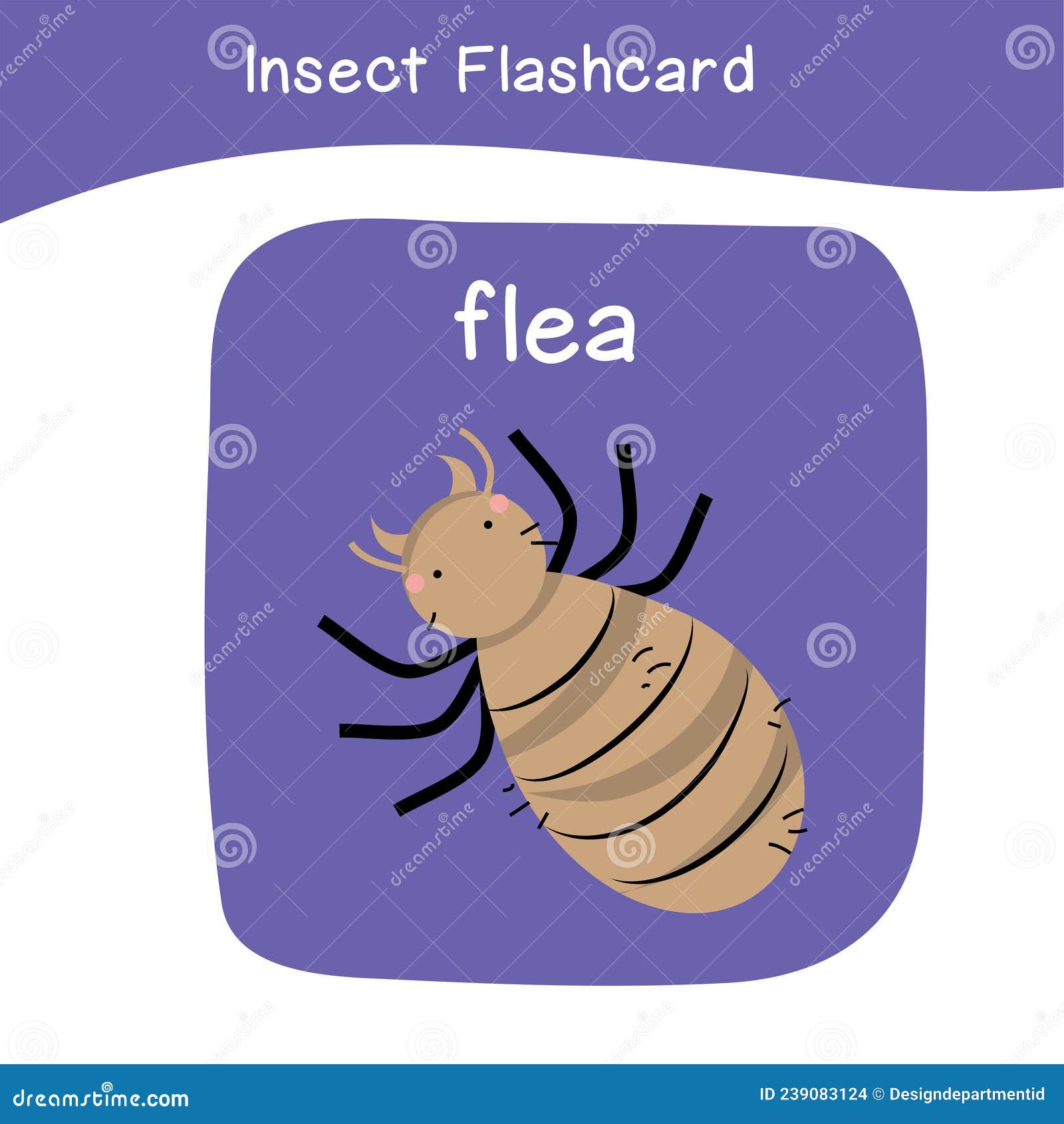 Insect flashcards stock illustrations â insect flashcards stock illustrations vectors clipart
