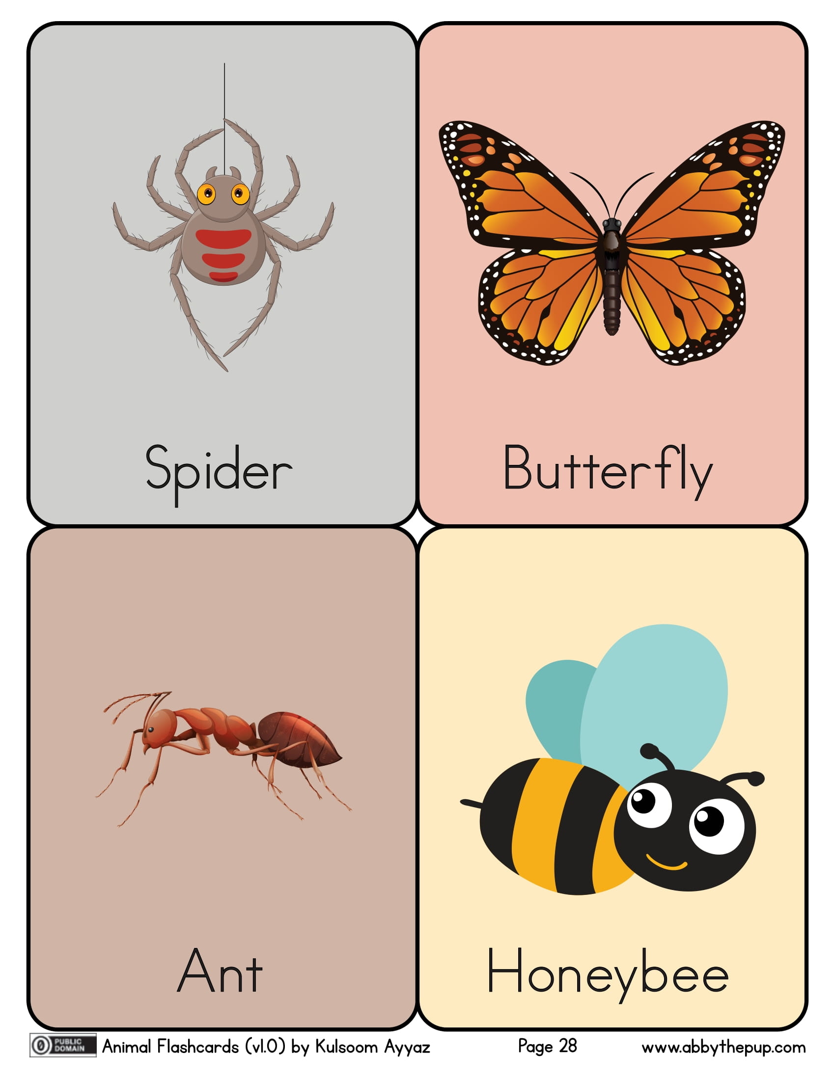 Insects flashcards free printable papercraft templates