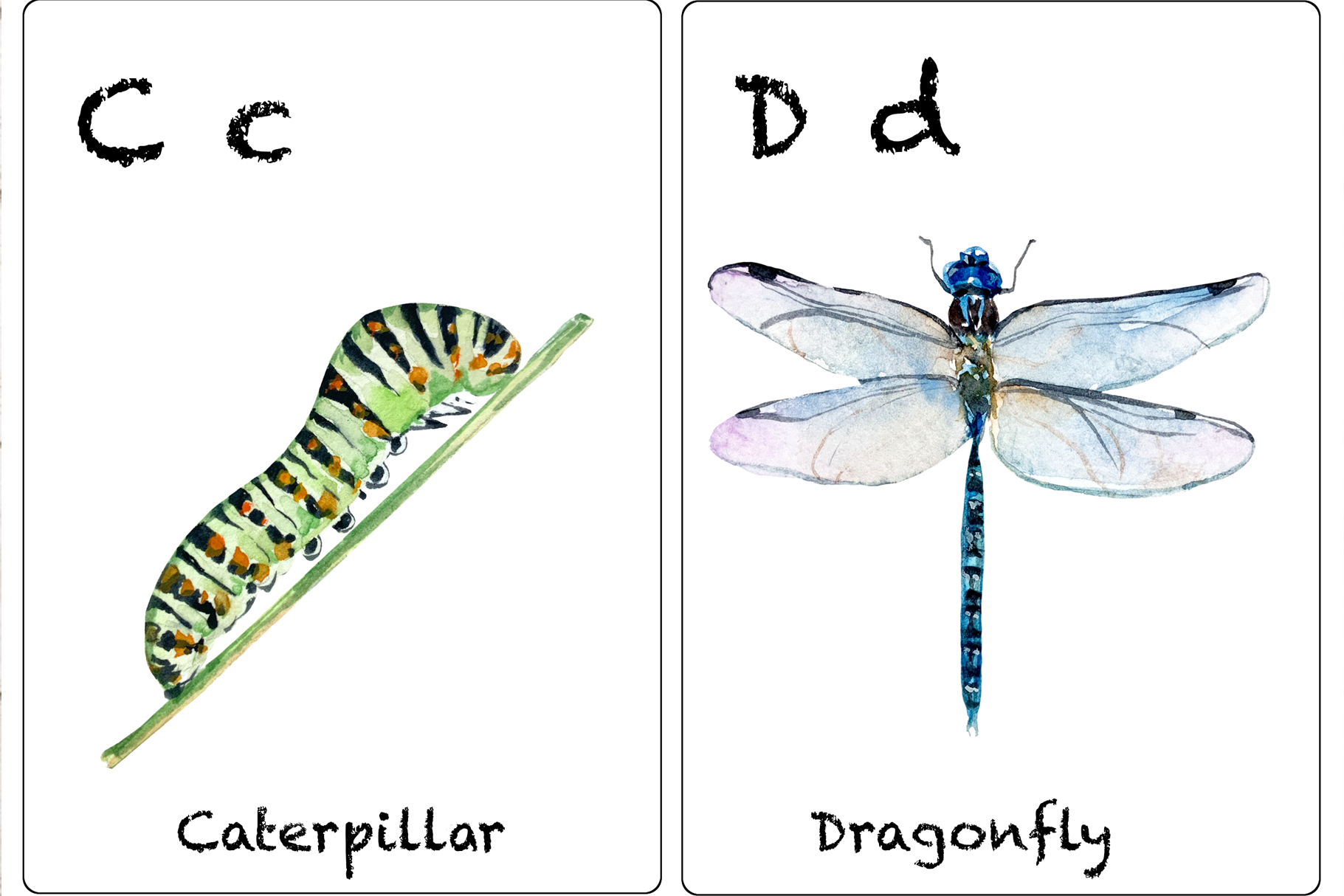 Watercolor abc insects flashcards by tatibordiu watercolor