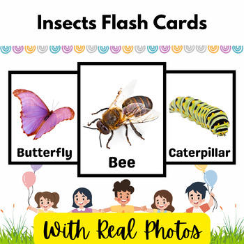 Insects coloring pages flashcards bundle for kids