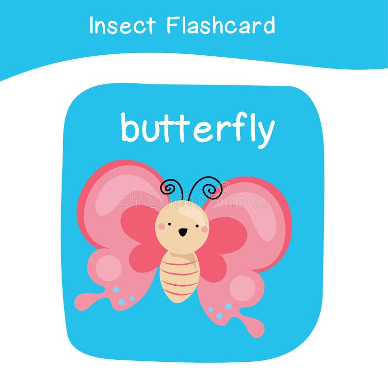 Insect flashcards stock illustrations â insect flashcards stock illustrations vectors clipart