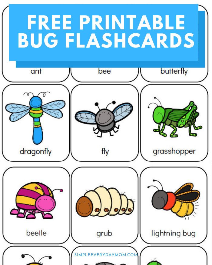 Printable preschool bug activities for kids bugs preschool bug activities insects preschool
