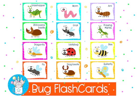 Bugs printable flash cards insects instant download flashcards pdf file spring activities for kids