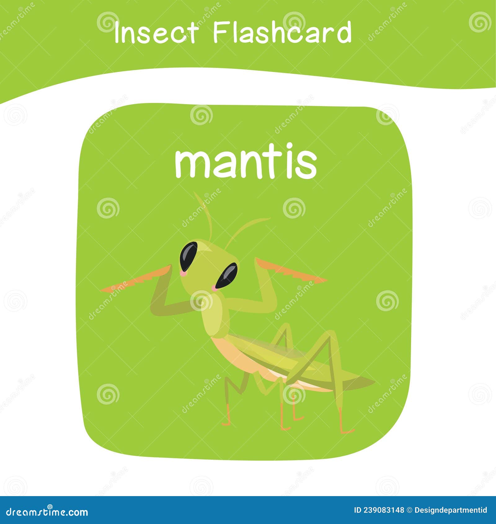 Insect flashcards stock illustrations â insect flashcards stock illustrations vectors clipart