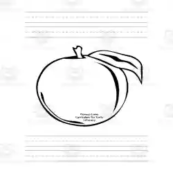 James and the giant peach book panion packet for st nd grade by teach simple