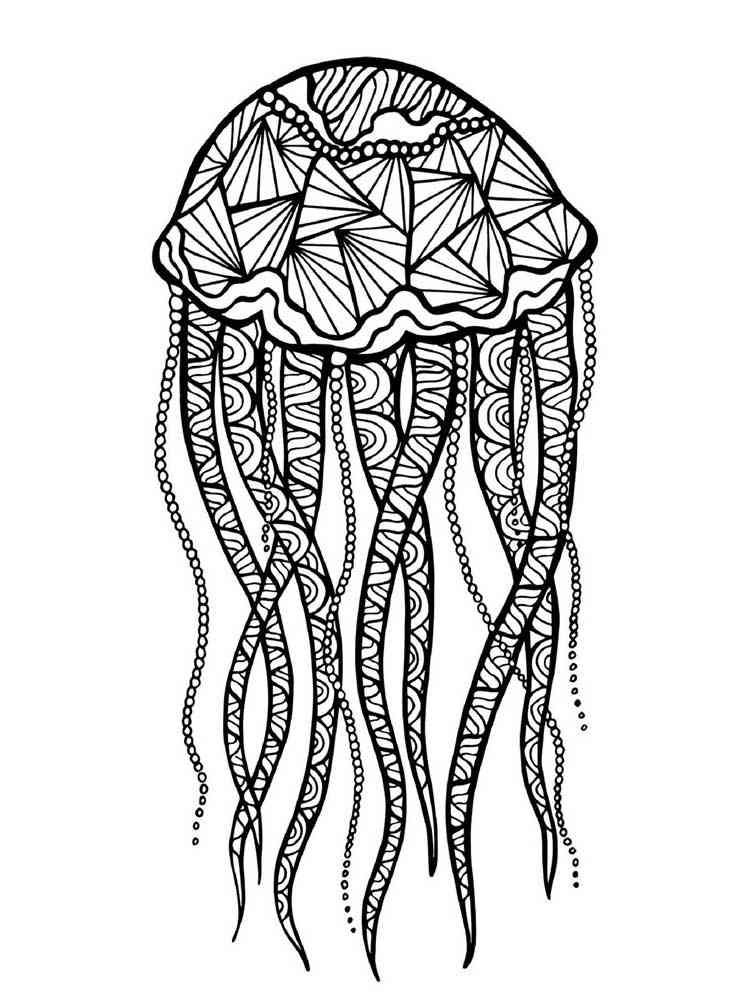 Jellyfish coloring pages for adults