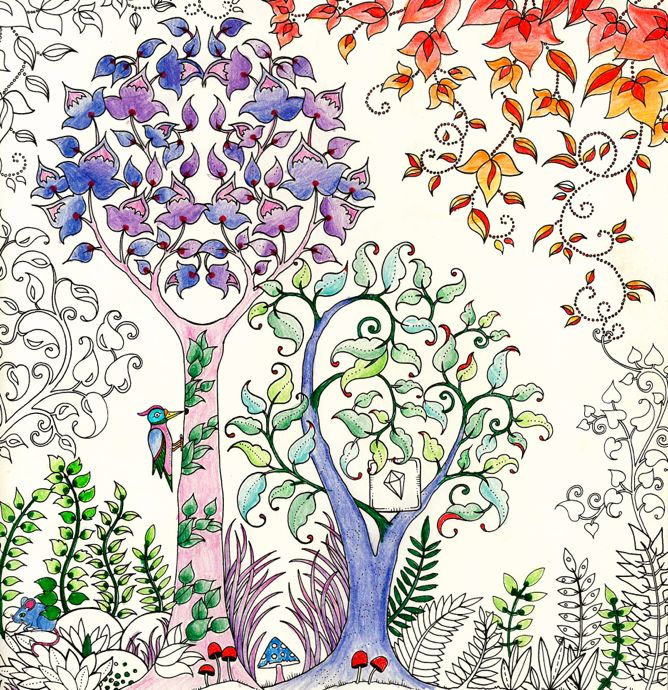 Johanna basford enchanted forest secret garden addictive coloring books for grown