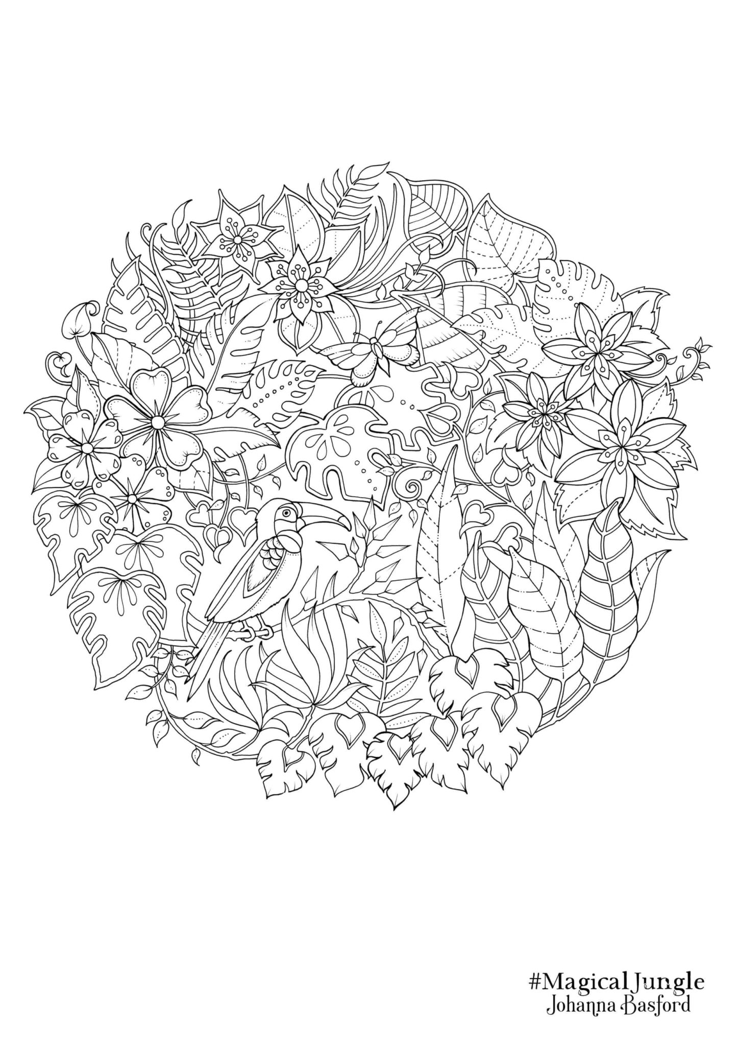 Johanna basford