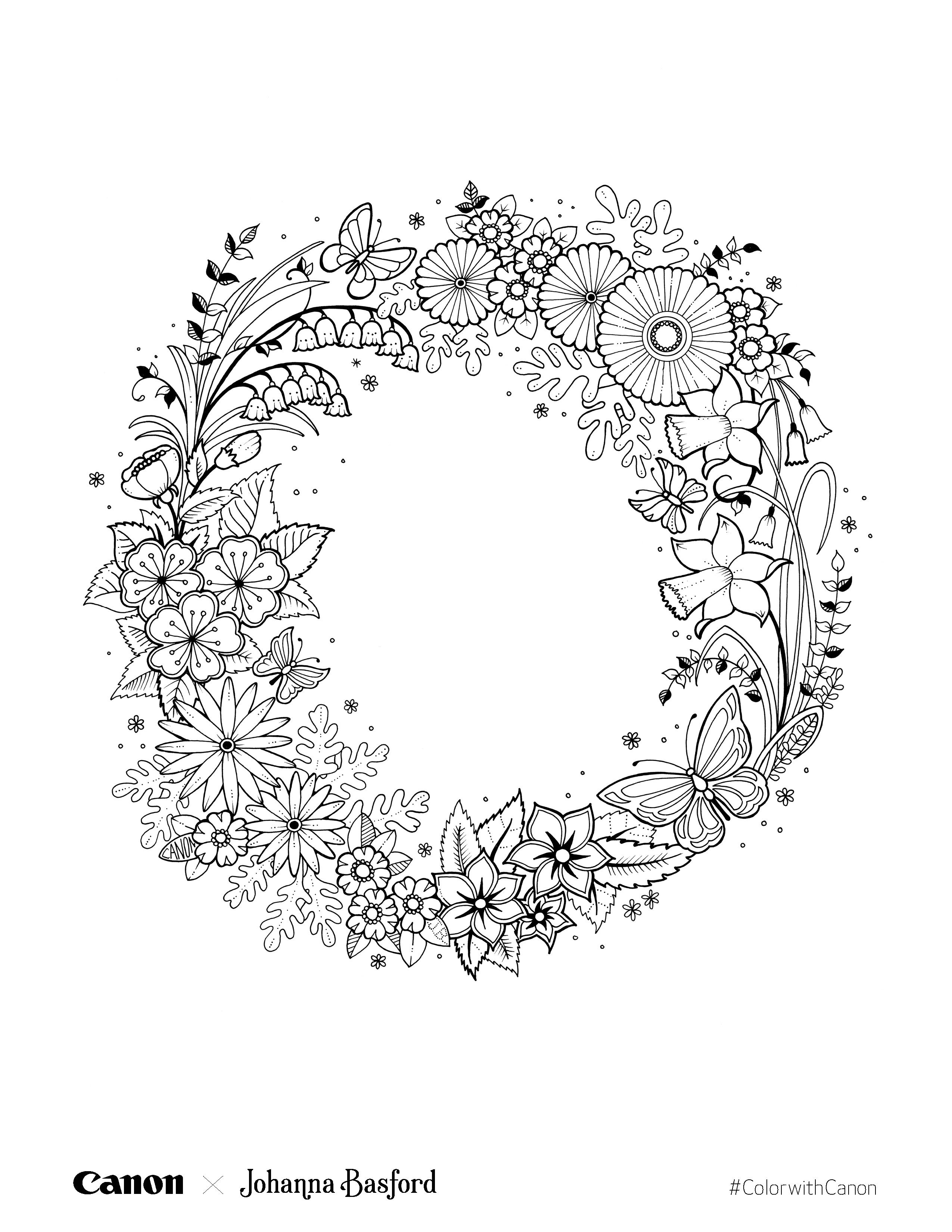 Fairy coloring book johanna basford coloring book coloring book art