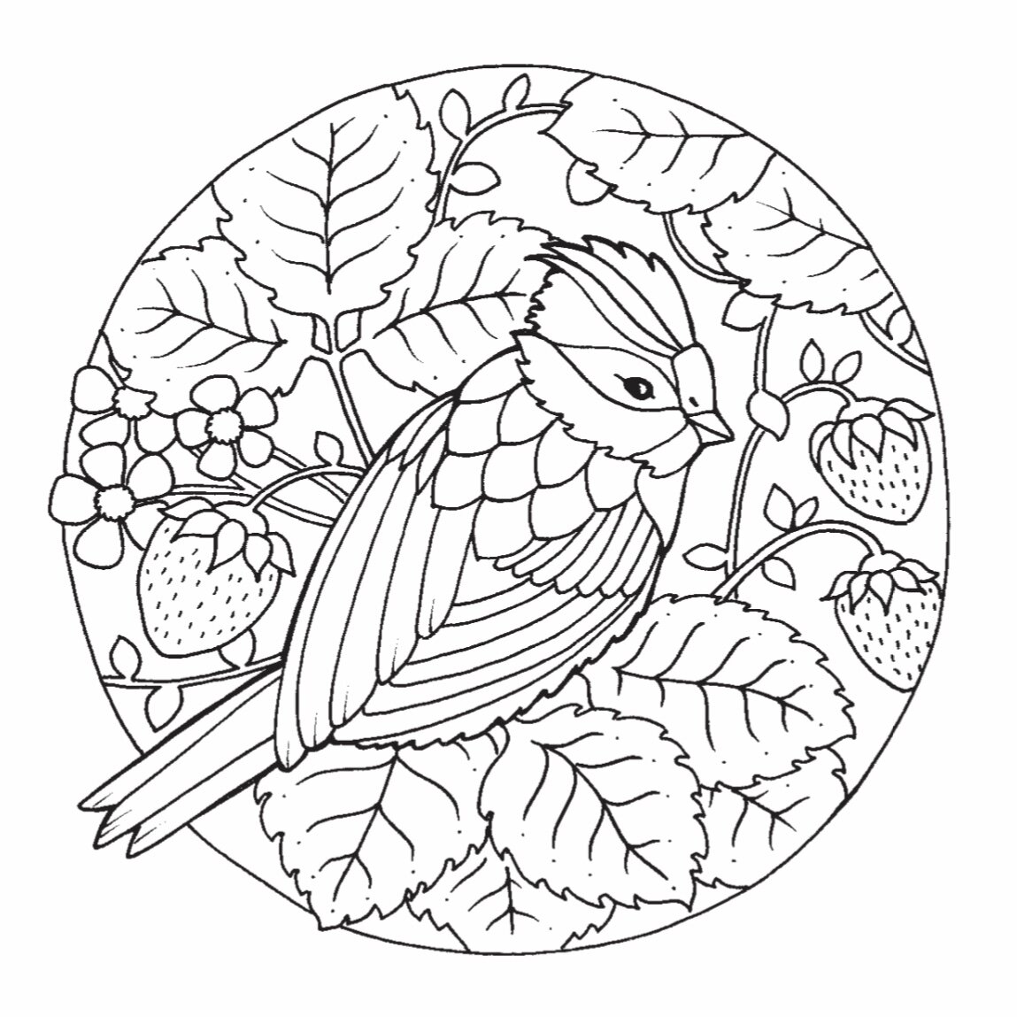 Johanna basford â blog â amber loves coloring