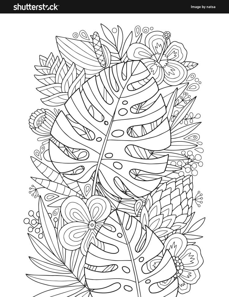 Free coloring book â free and fun pages to print and color in