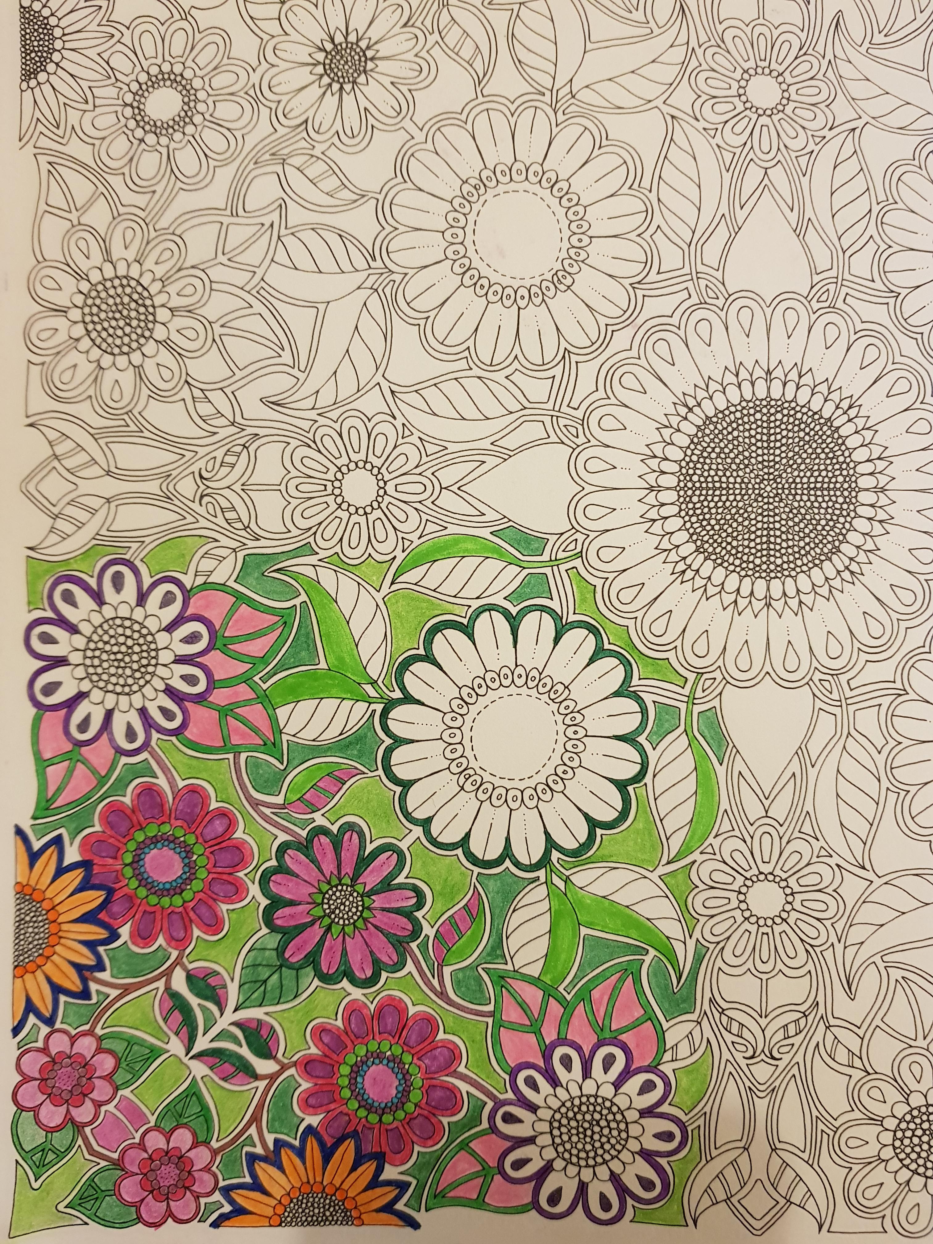 Corner from secret garden by johanna basford