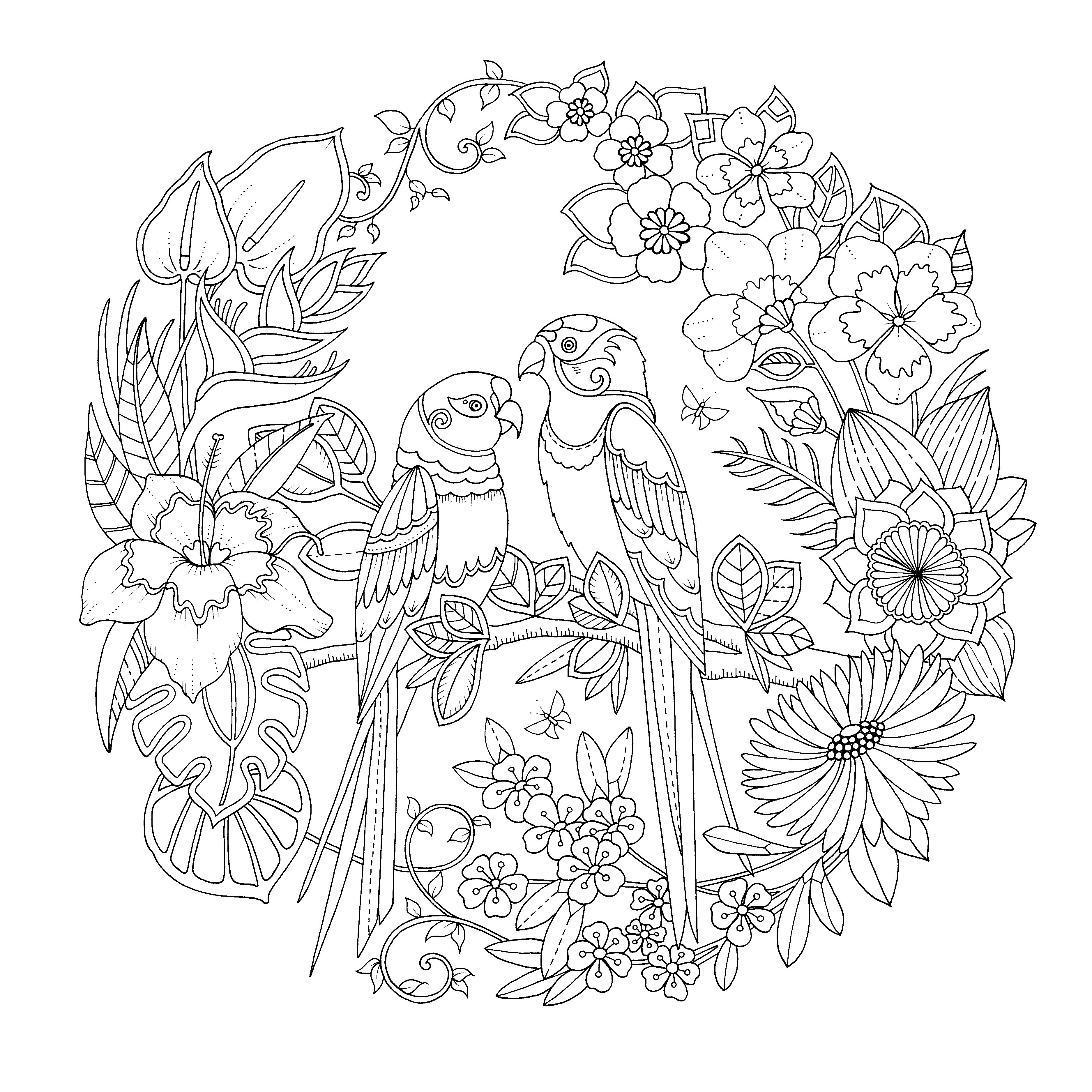 La jungla mãgica de johanna basford urano johanna basford coloring book jungle coloring pages johanna basford coloring