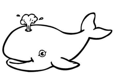 Drawing whale coloring page