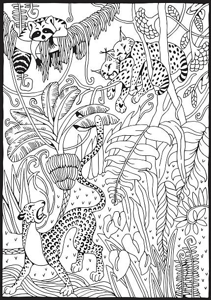 Leopard lynx and raccoon in the junglecoloring page stock illustration