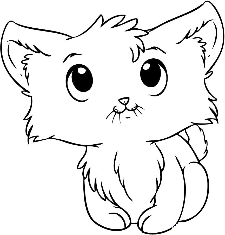 Kitten coloring pages