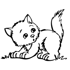 Top free printable kitten coloring pages online