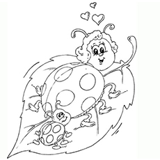 Ladybug coloring pages