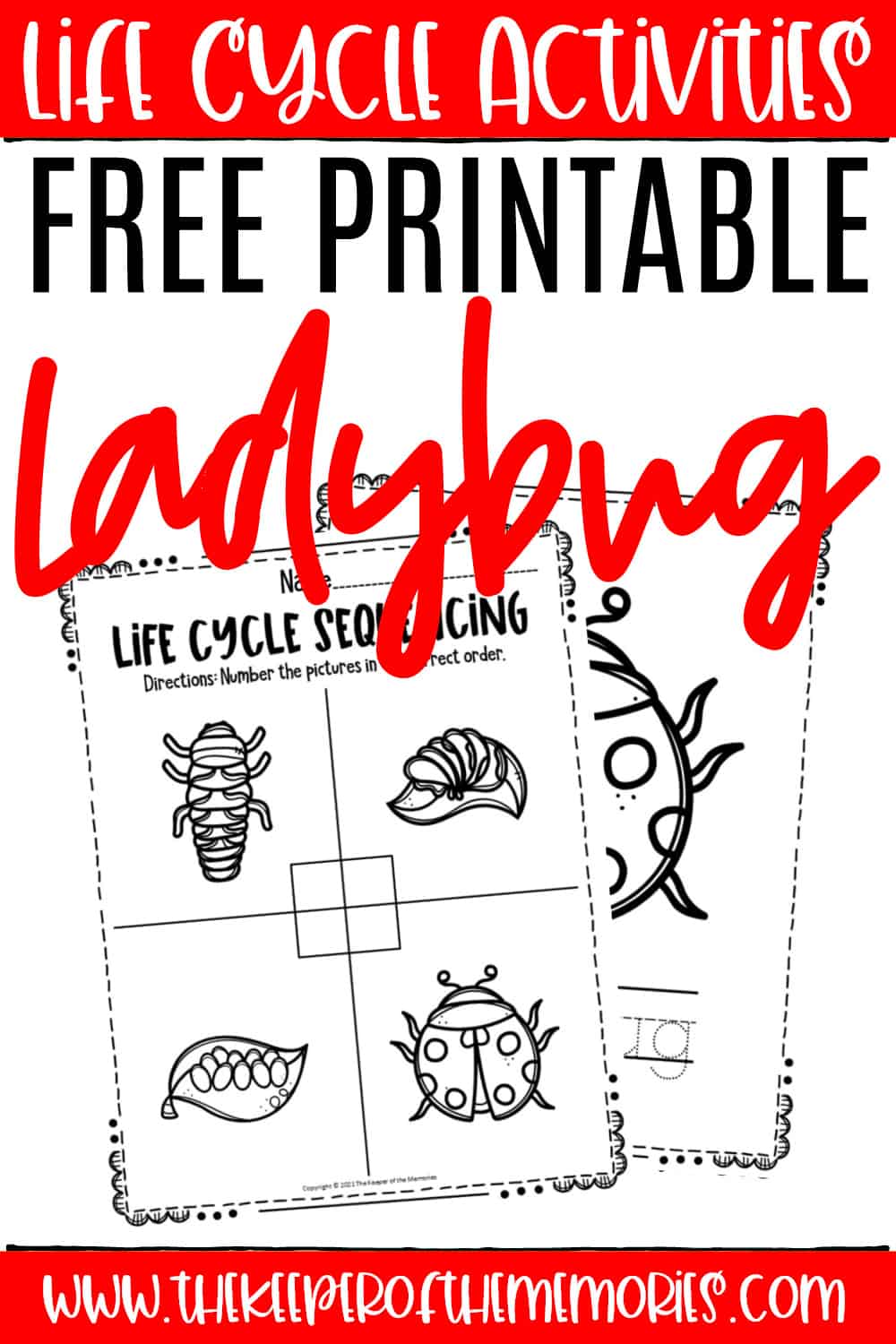 Free printable ladybug life cycle worksheets