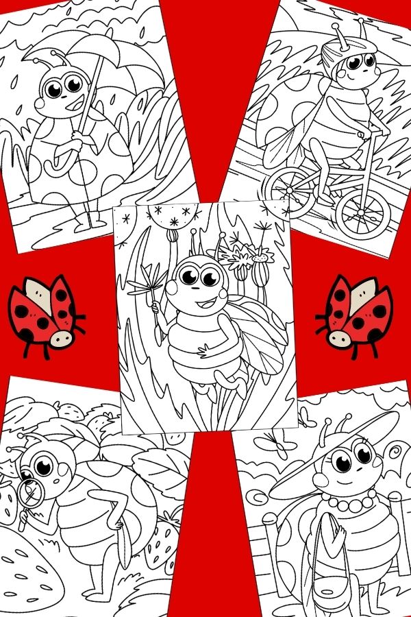 Ladybug coloring pages