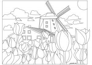 Landscapes