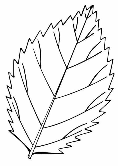 Printable leaves image outline coloring page