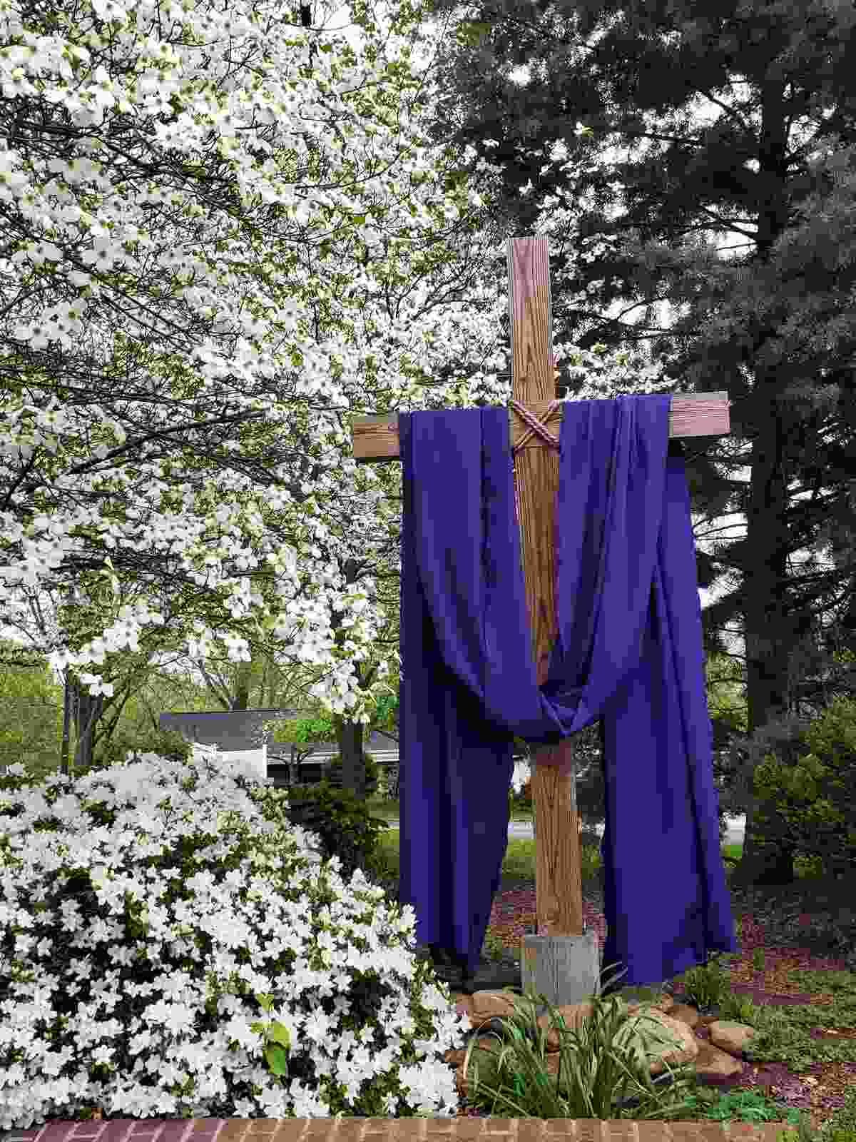 Legend of the dogwood tree