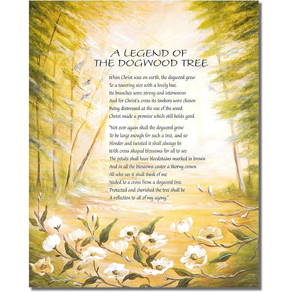 Legend of the dogwood thoughtful pink x cardstock prayer card pack of office products