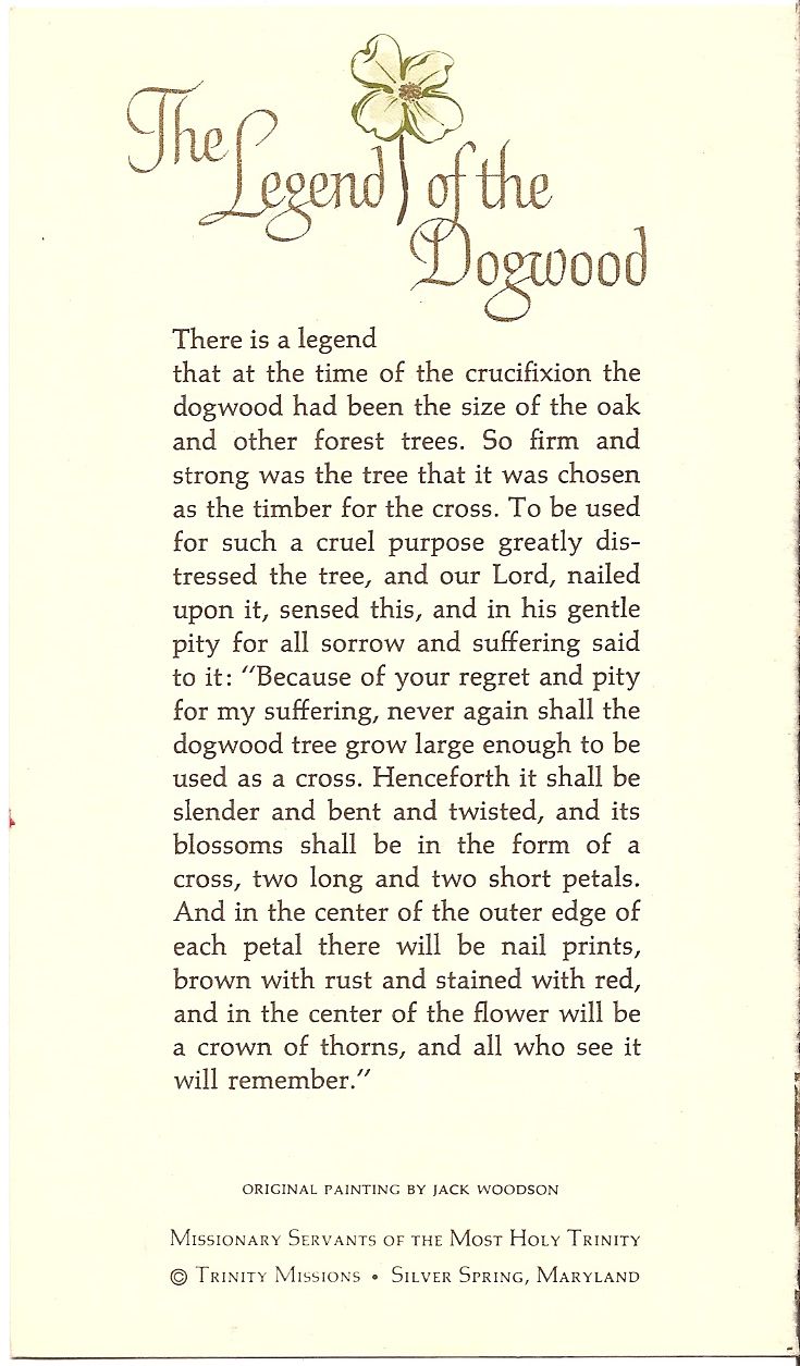 The legend of the dogwood tree dogwood trees christmas poems words