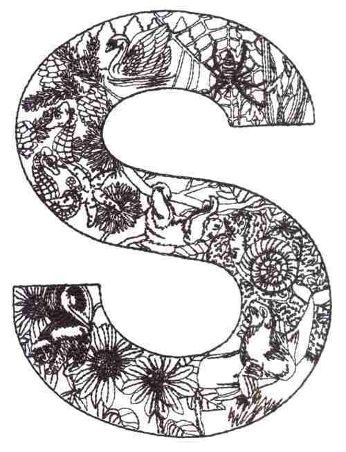 Natures garden alphabet designs by outback embroidery