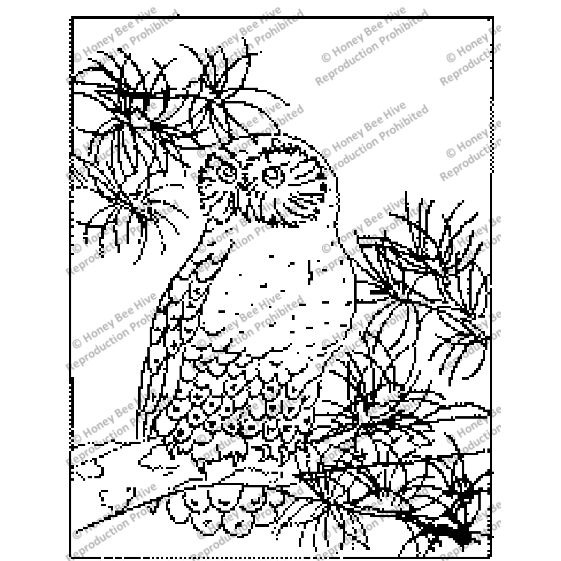 Animal patterns