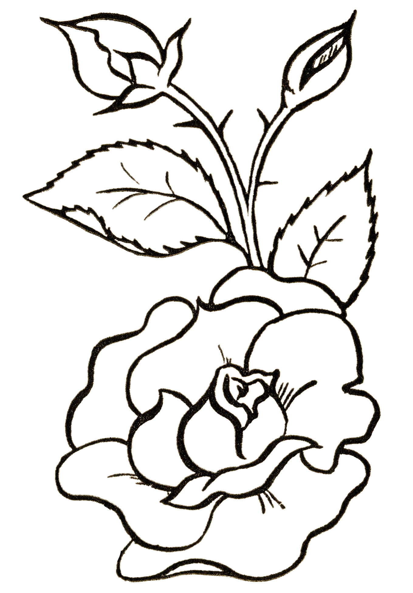 Flower clipart black and white