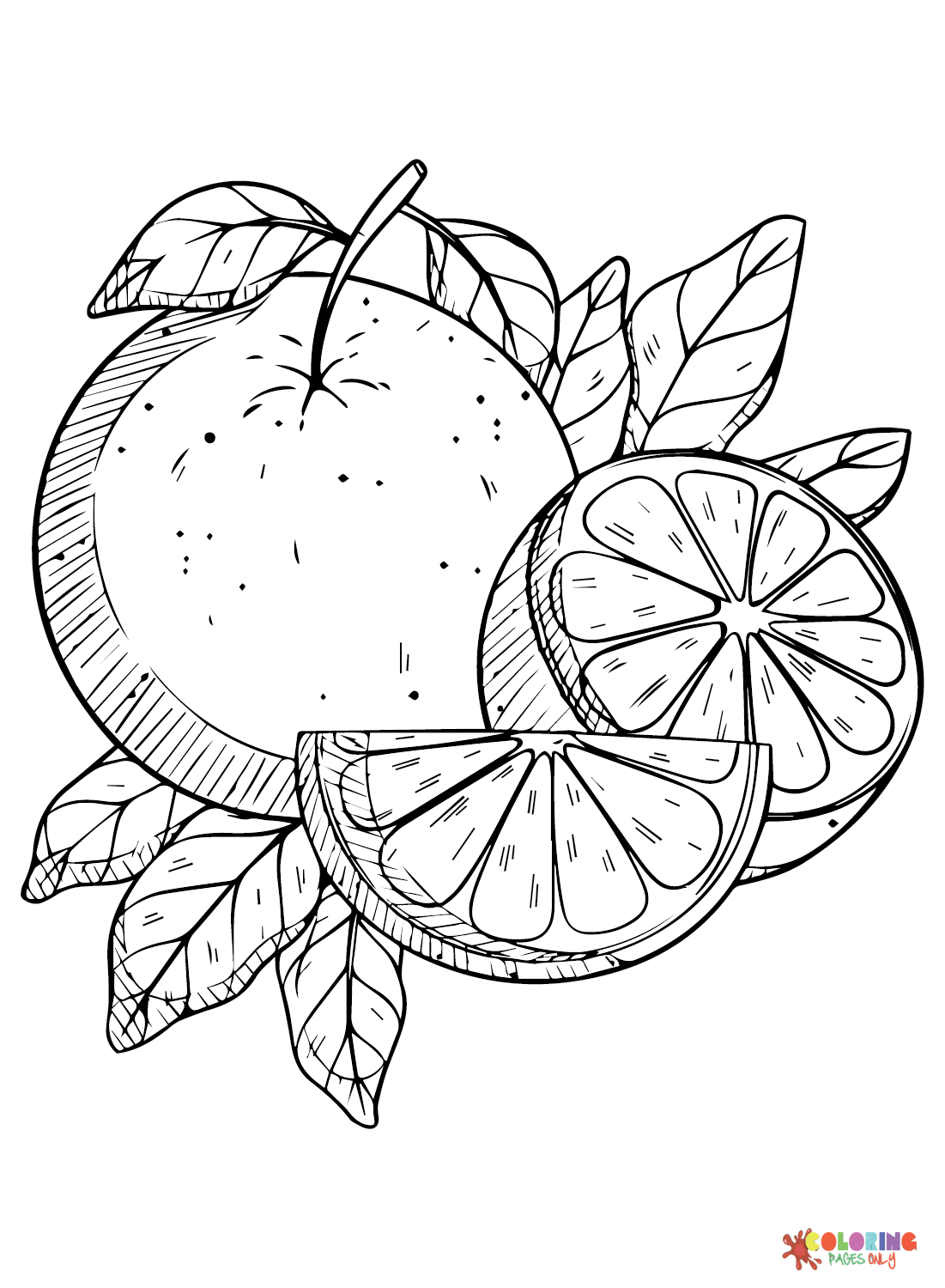 Citrus