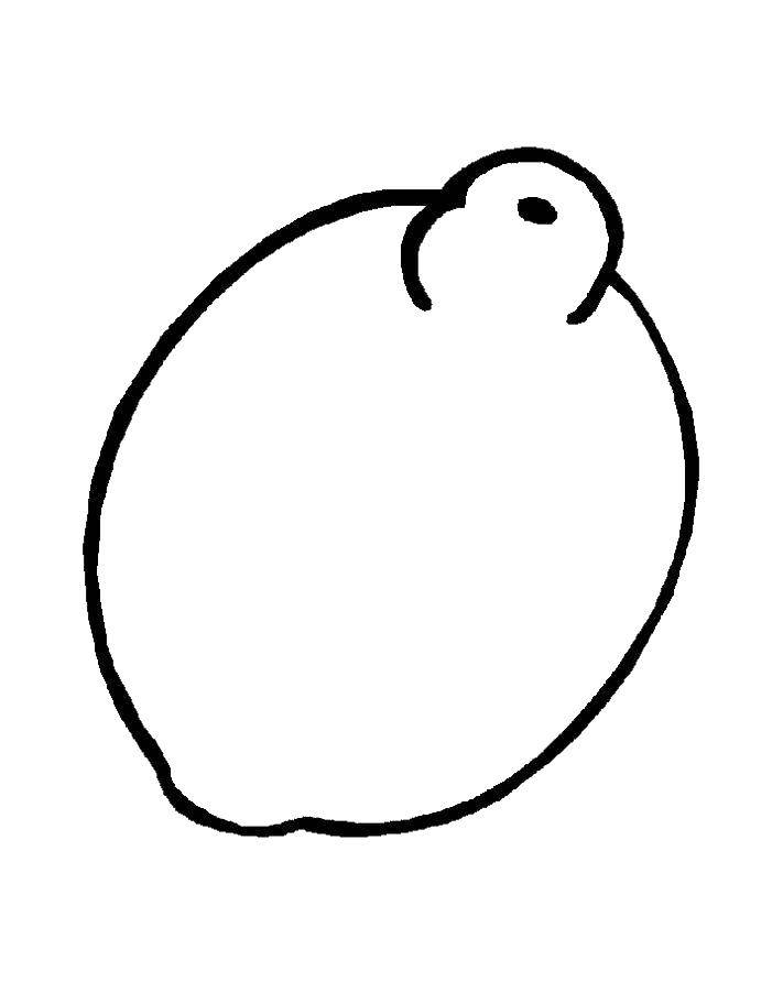 Online coloring pages coloring page lemon fit download print coloring page