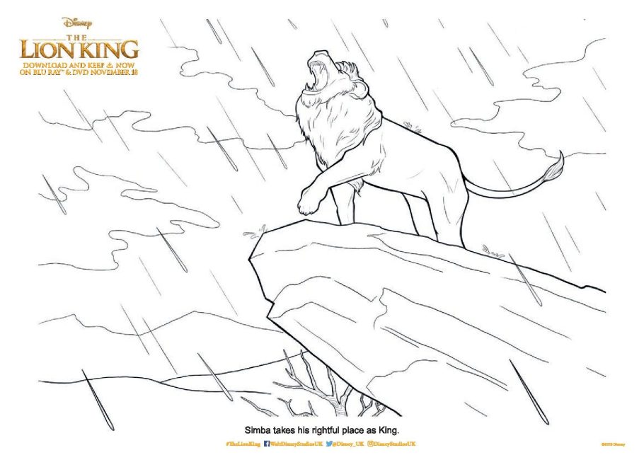 The lion king loring pages and printable activity sheets
