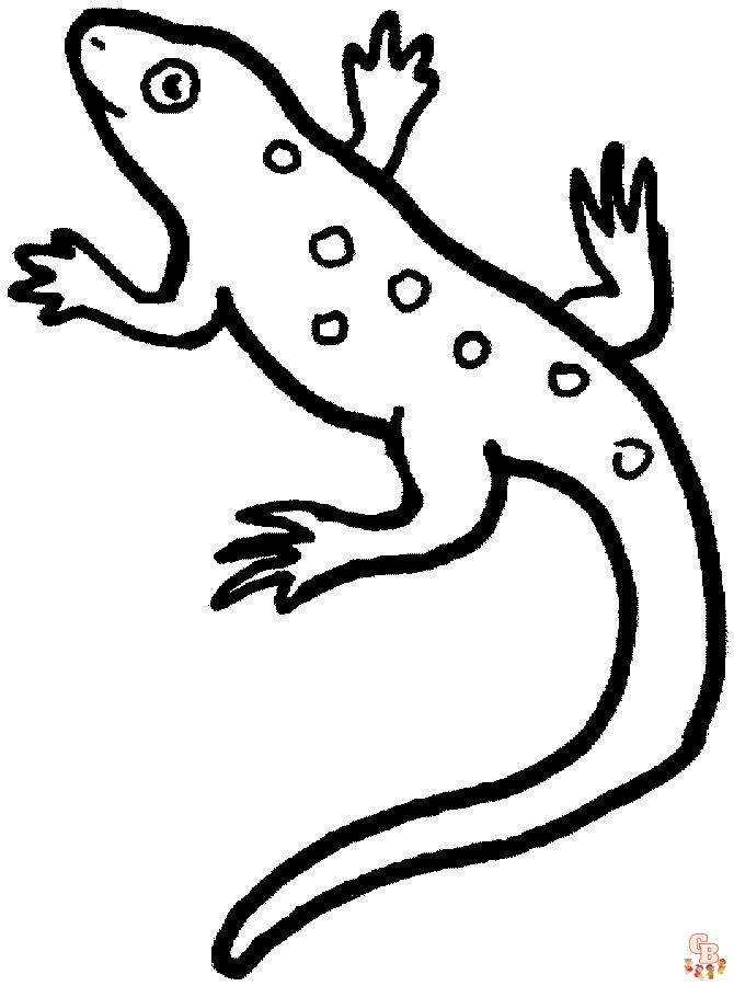 Exciting lizard coloring pages for kids adults