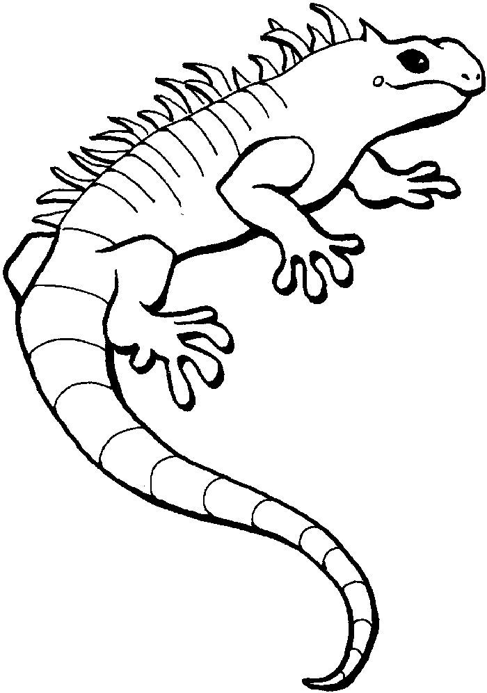 Printable lizard coloring pages pdf animal coloring pages snake coloring pages coloring pages