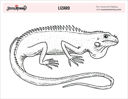These lizard coloring pages are one in a chameleon