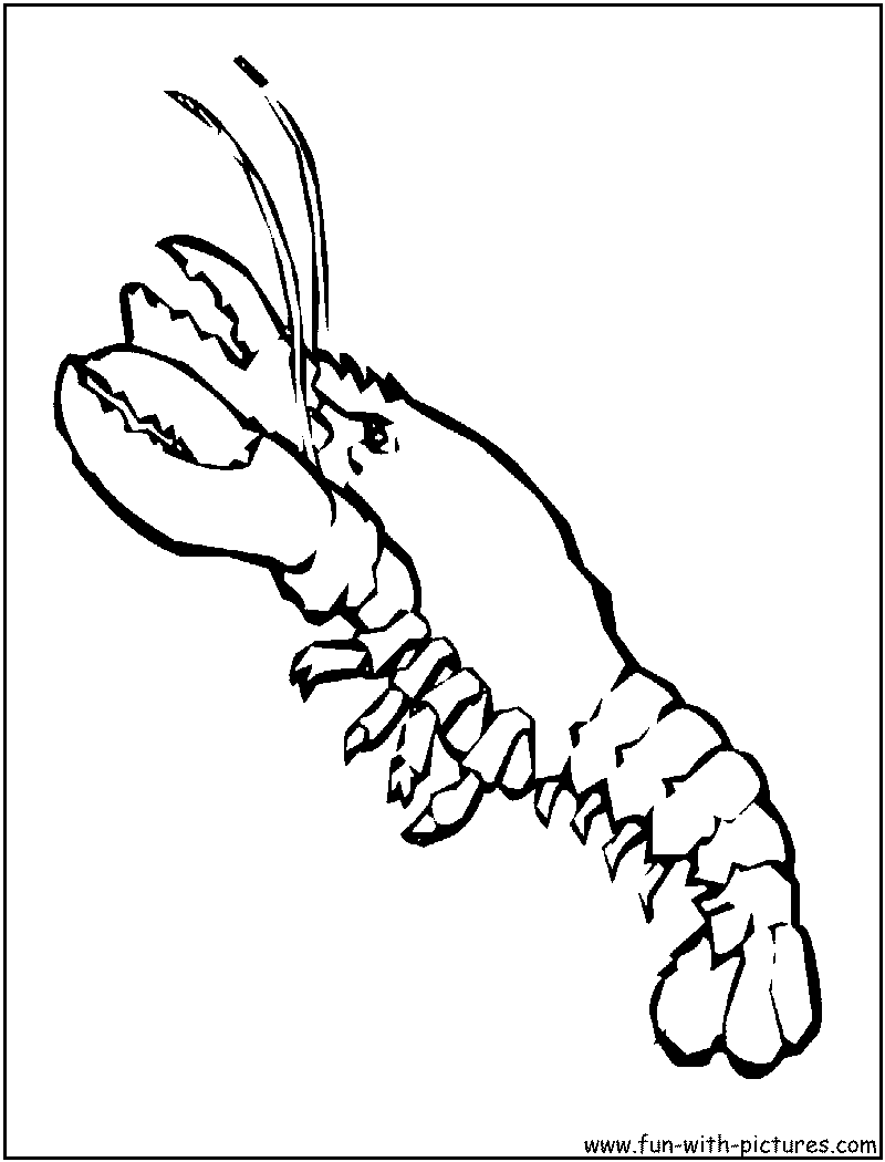 Lobster coloring page
