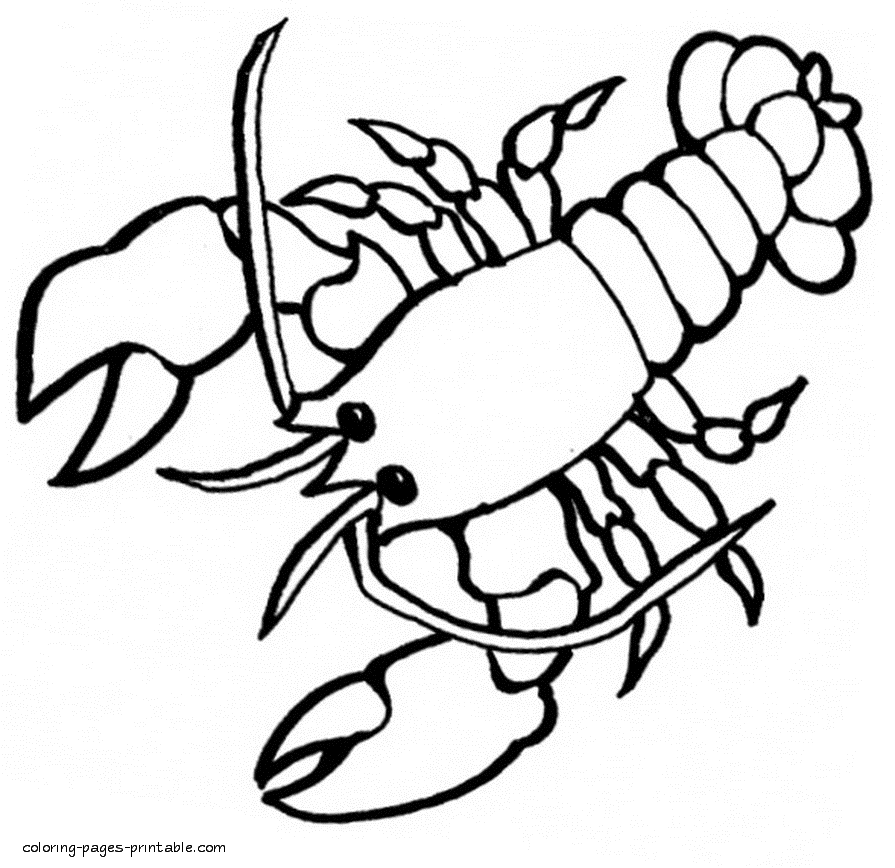 Lobster coloring pages coloring