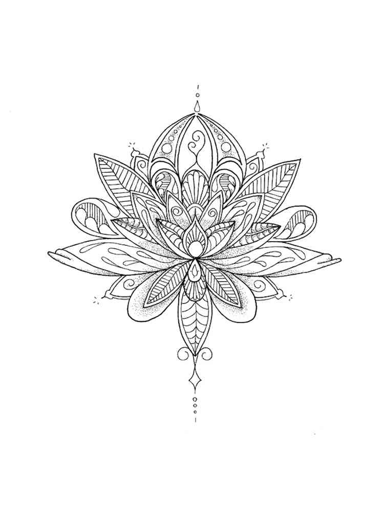 Lotus coloring pages for adults