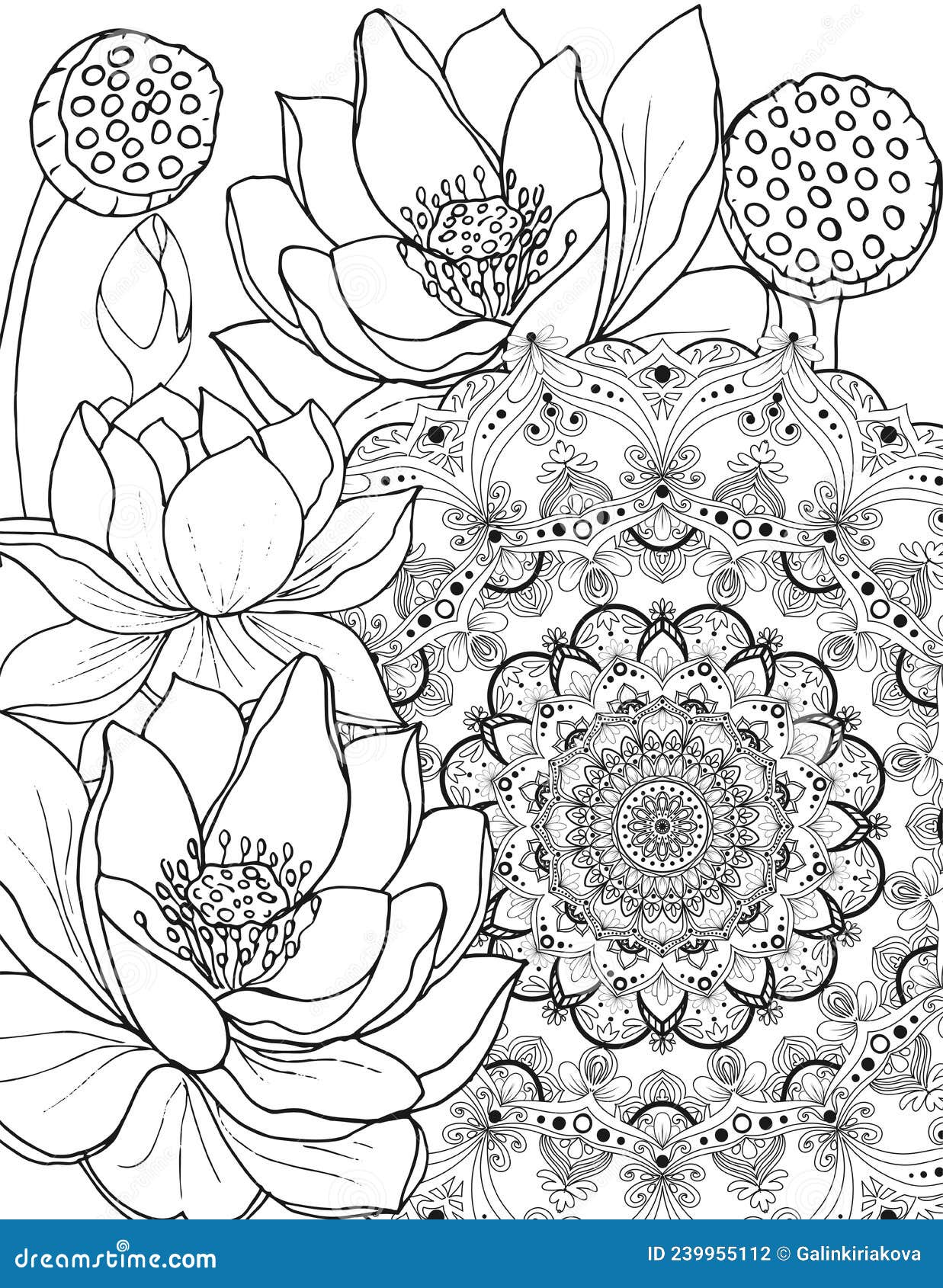 Doodle coloring page for adults mandala and a beautiful lotus stock vector