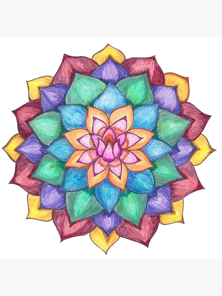 Lotus flower mandala art board print by carlabedia